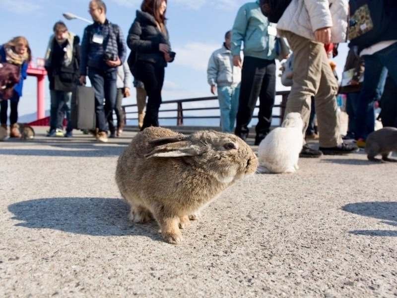 株式会社スタッフエージェント 名古屋営業所【003】の仕事画像1
