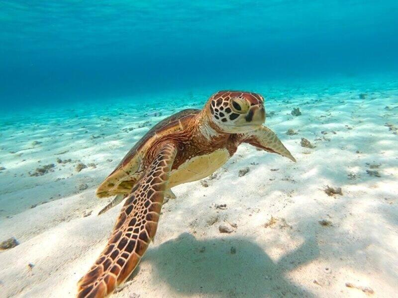 株式会社スタッフエージェント 名古屋営業所【003】の仕事画像1