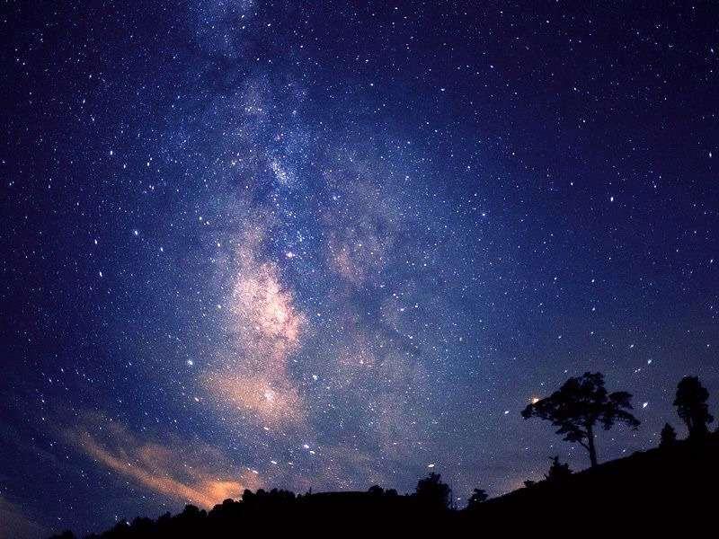 株式会社スタッフエージェント 名古屋営業所【003】の仕事画像1