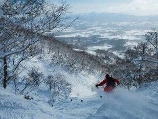 株式会社スタッフエージェント 名古屋営業所【003】の仕事画像2
