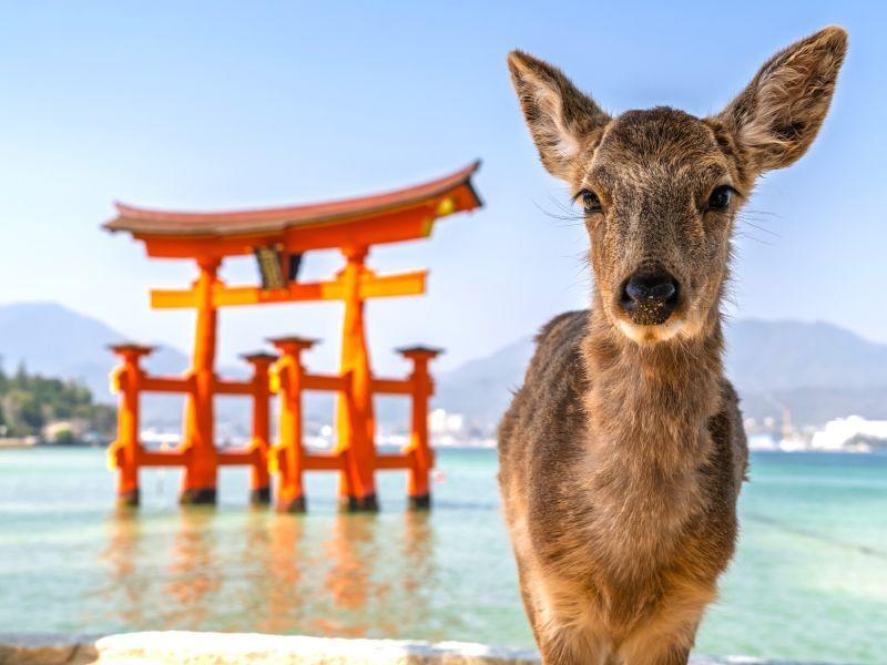株式会社スタッフエージェント 名古屋営業所【003】の仕事画像2