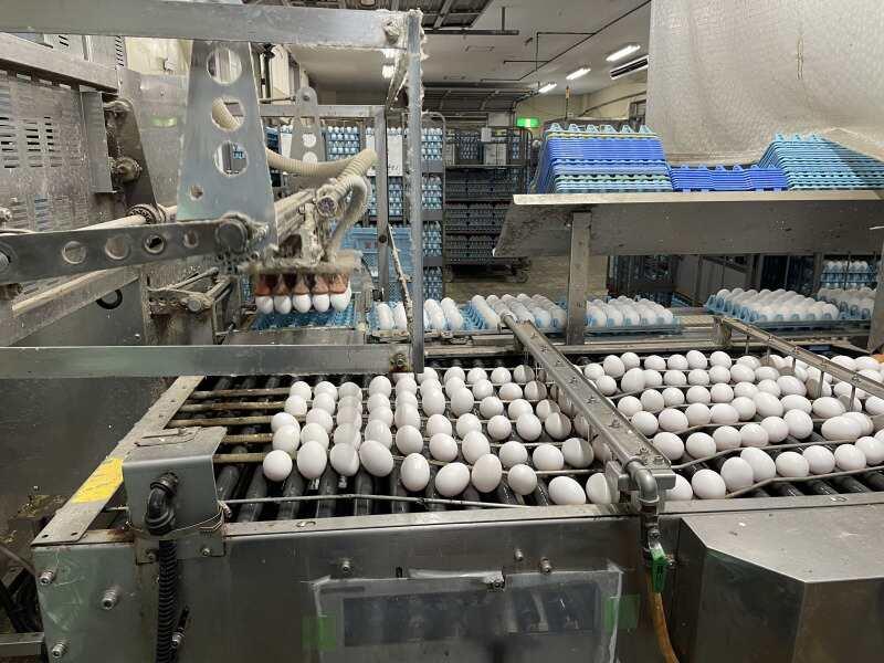 株式会社フクベイフーズ 南相馬配送センターの仕事画像2