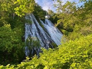 エスエフシー北海道株式会社の仕事画像2