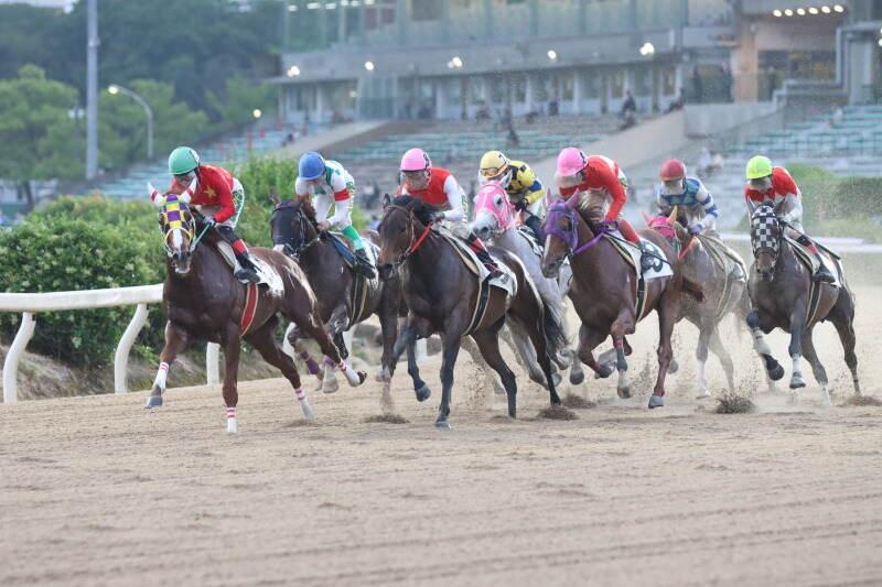 佐賀県競馬組合の仕事画像2