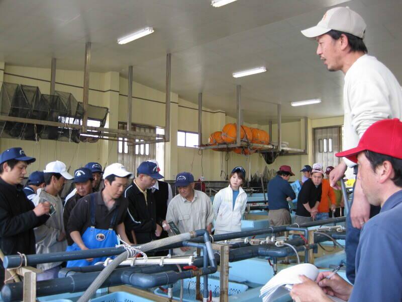 鳥羽磯部漁業協同組合の仕事画像3