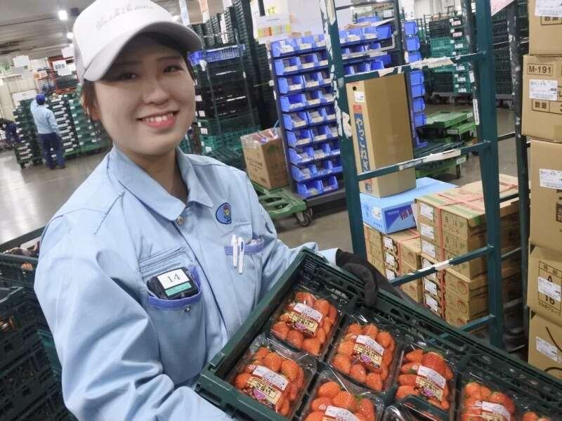 吉川運輸 長岡京営業所の仕事画像3