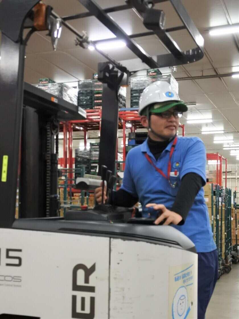 吉川運輸 長岡京営業所の制服4