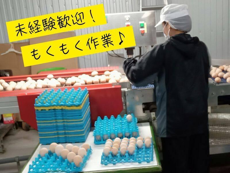 有限会社ダイノーエッグの仕事画像1