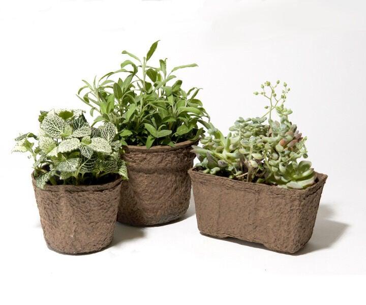 栗原紙材株式会社 新利根事業所の仕事画像3