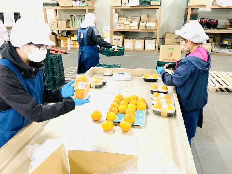 RAG東京 柏公設市場内の仕事画像2