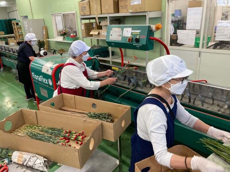 RAG東京 松戸事業所の仕事画像3