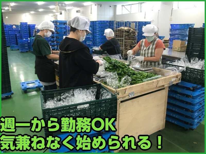 RAG東京 松戸事業所の仕事画像1