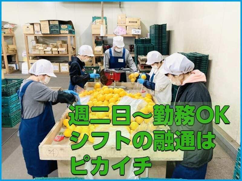 RAG東京 松戸事業所の仕事画像1