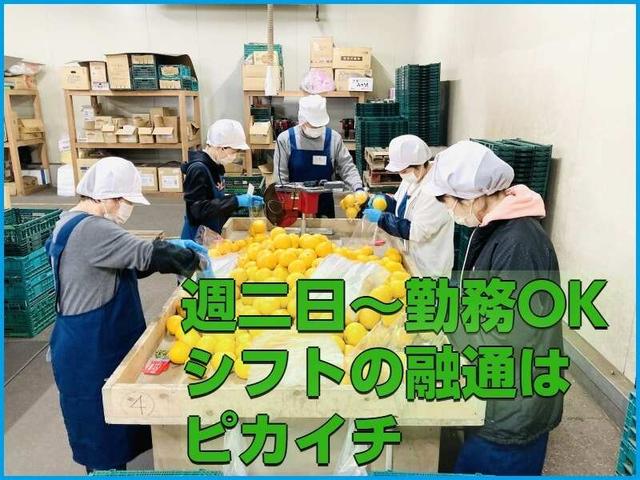 週2/3h～OK！＼10月から1月末までの短期募集！／履歴書不要◎(軽作業・物流、松戸市)のイメージ画像