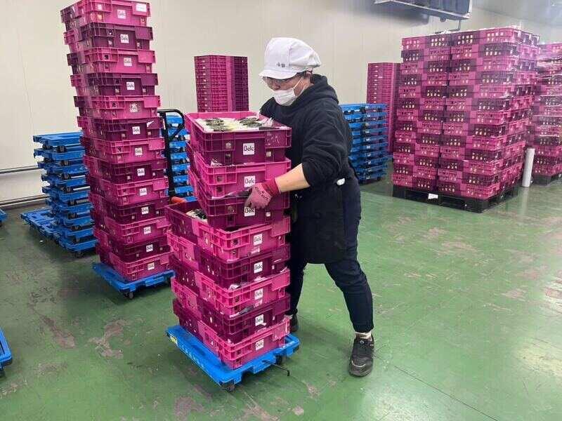 RAG東京 松戸事業所の仕事画像1