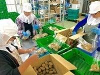 週1日～ＯＫ！野菜の加工スタッフ！モクモク作業/シフト融通〇(軽作業・物流、大阪市福島区)のイメージ画像