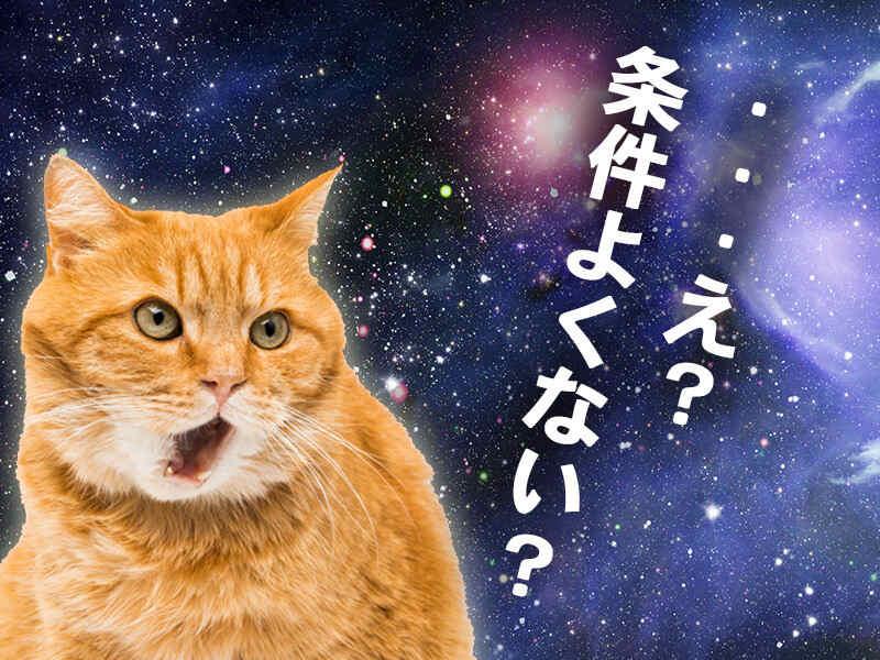 株式会社アクセス・ジャパンの仕事画像3