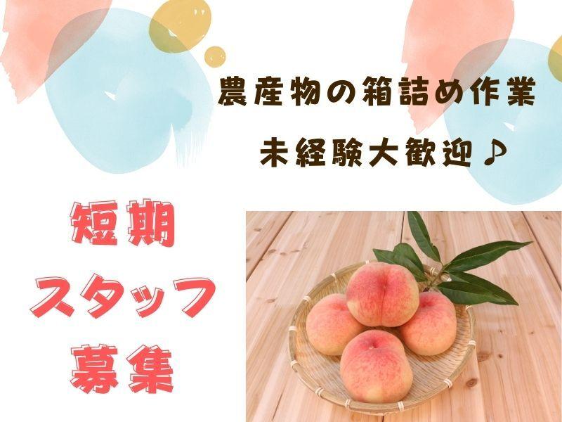 株式会社トリプル・ウィン 和歌山本社【001】の仕事画像1