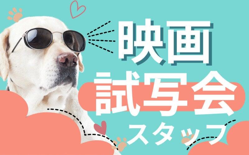 株式会社オーガスタ 東京の仕事画像1