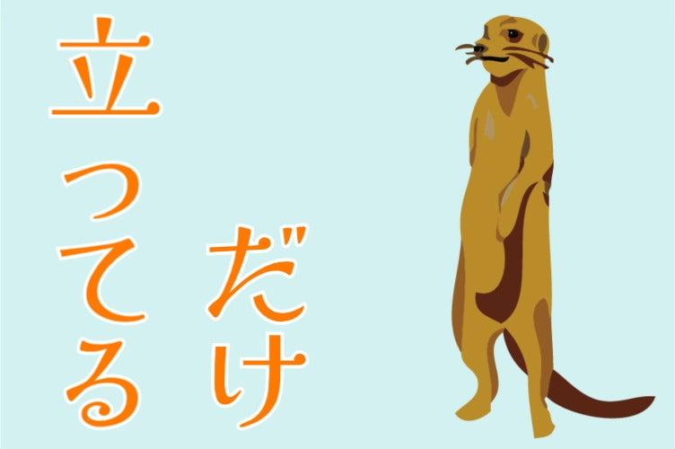 株式会社オーガスタ 東京の仕事画像1