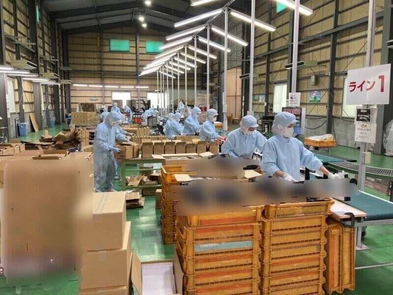 関東パッケージ株式会社の仕事画像3