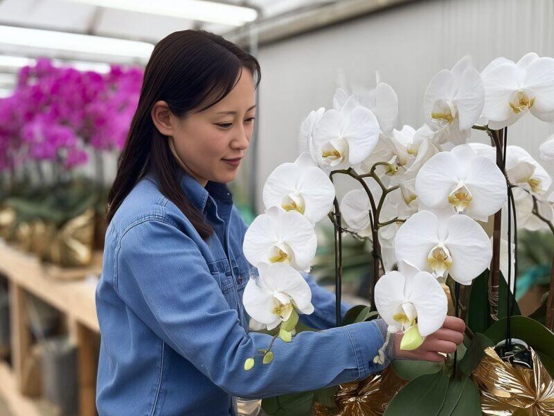 株式会社トラストファミリー 豊橋営業所の仕事画像1