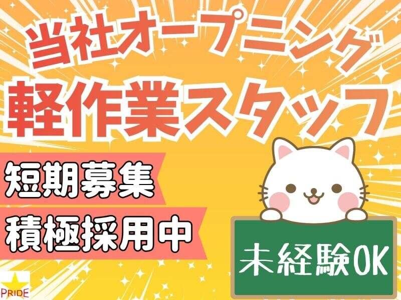 株式会社スタープライドの仕事画像2