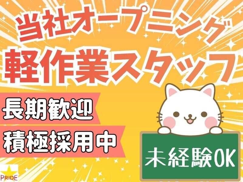 株式会社スタープライドの仕事画像2