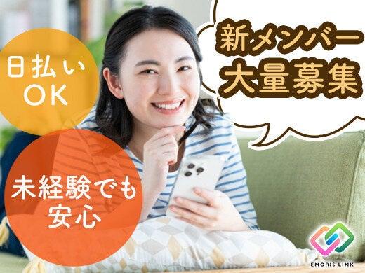 株式会社エモリスリンク(旧：株式会社メイホーアティーボ)の仕事画像1