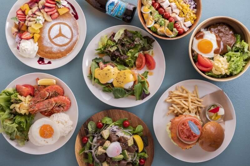 株式会社シュテルン品川 ラウメリア 011の仕事画像2