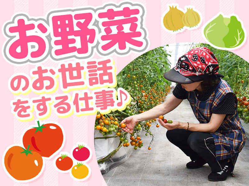 株式会社JAファーム福岡の仕事画像1