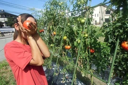 株式会社JAファーム福岡の制服6