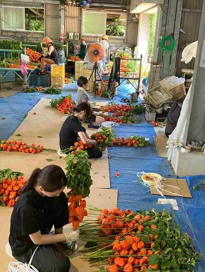 株式会社JAファーム福岡の制服2