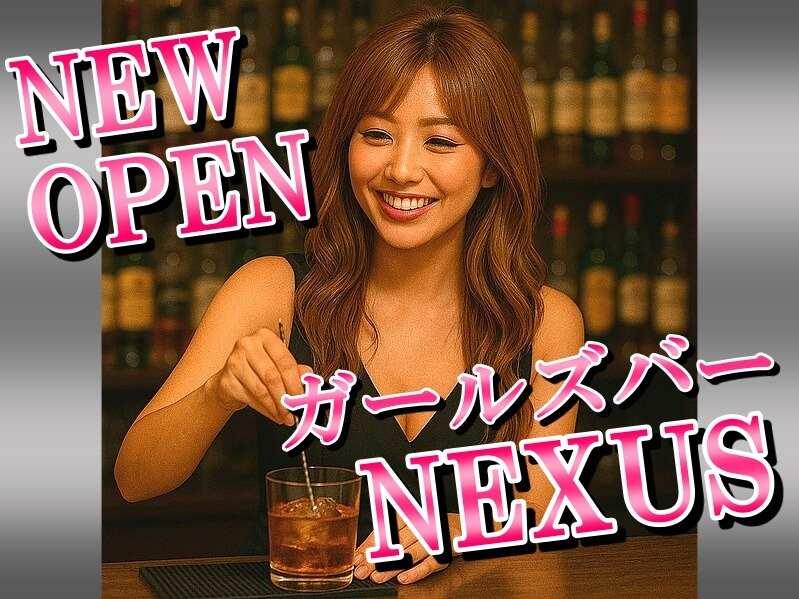 NEXUS（ネクサス）の仕事画像2