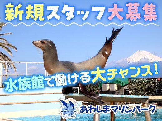 あわしまマリンパークの仕事画像1
