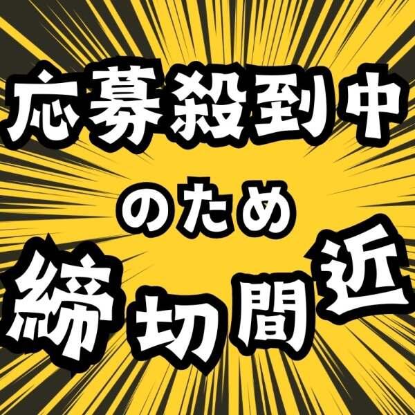 株式会社セリオ　人材派遣sacaso(TS-0969-12-S)の仕事画像1