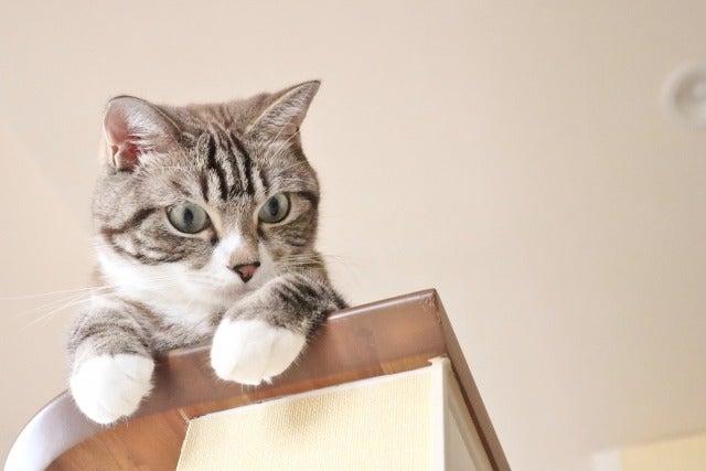 Start me株式会社 採用窓口【オフィス】の仕事画像1