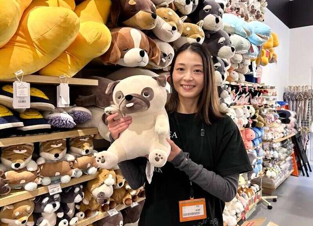 ノルマなしの販売♪安定してシフトに入れる◎社員登用も強化中！(販売、札幌市東区)のイメージ画像