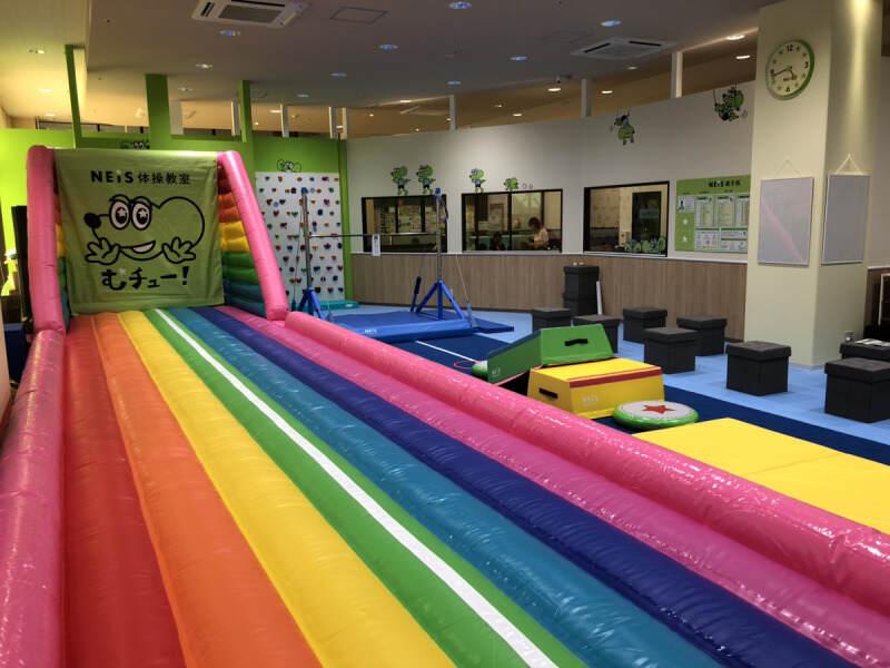 ネイス体操教室　守谷校の仕事画像3