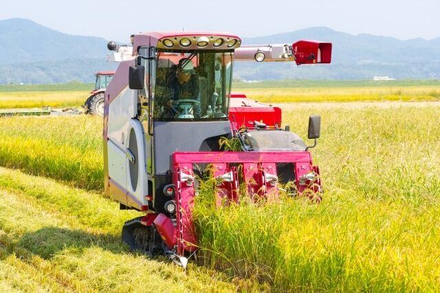 大阪中河内農業協同組合 【JA大阪中河内　営農指導】の仕事画像1