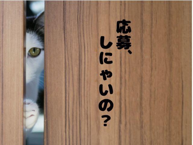 株式会社キャリア・リード 久留米オフィスの仕事画像1