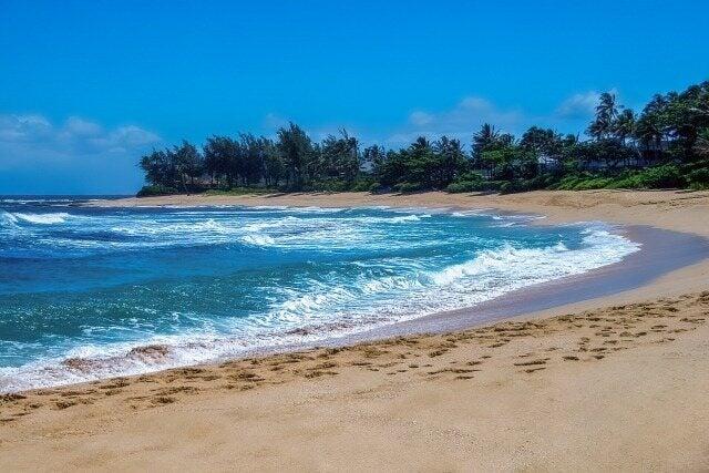 株式会社ビジネス・フクハイサービスの仕事画像1