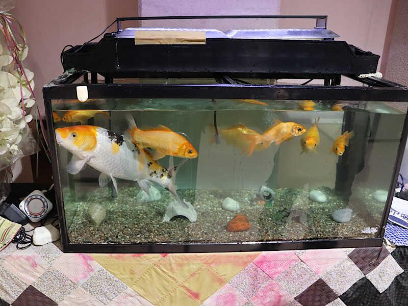 特別養護老人ホーム淳風とよなかの仕事画像2