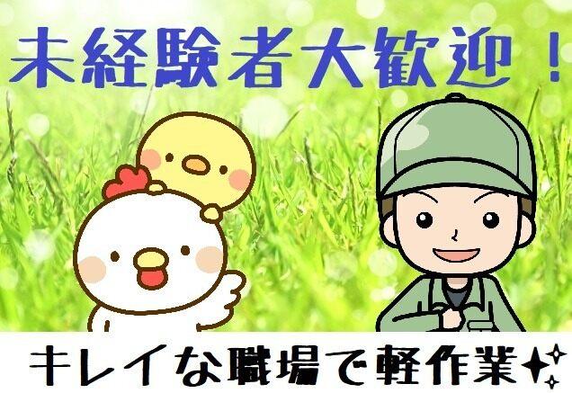 株式会社ヒューマンアイの仕事画像1