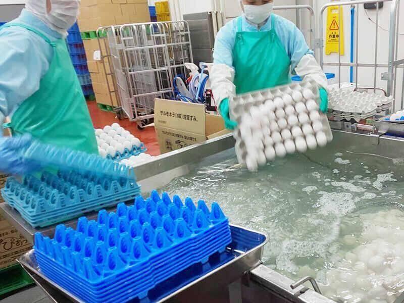 キユーピータマゴ株式会社　蒲生工場の仕事画像1