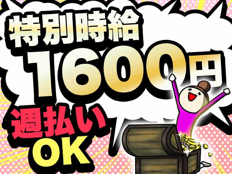 株式会社マリアスタッフの仕事画像1