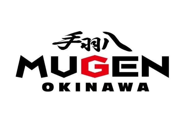 手羽八 MUGEN OKINAWAの仕事画像1