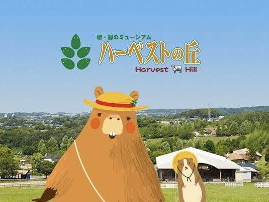 【人気の短期バイト】週2日～OK／選べるお仕事♪高校生も大歓迎(イベント、堺市南区)のイメージ画像