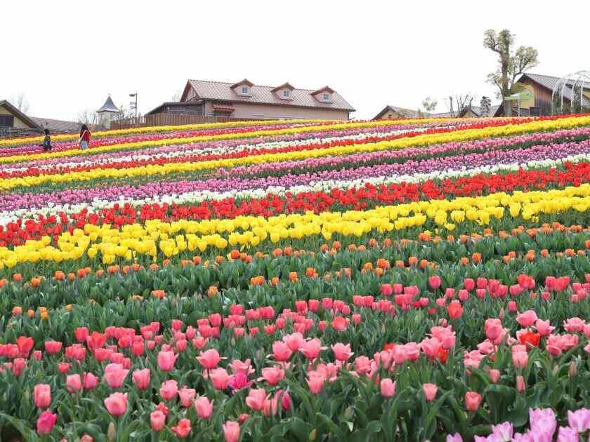 堺・緑のミュージアム ハーベストの丘の制服3