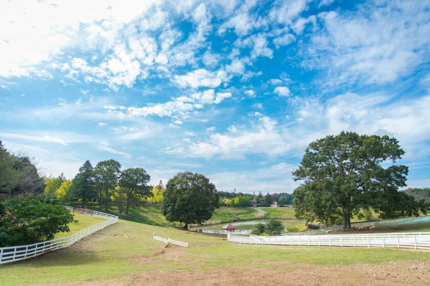 こもれび 森のイバライドの制服5